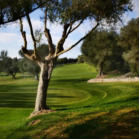 Reserva Rotana Golf